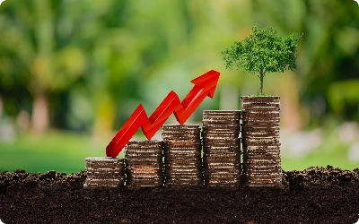 Recovery of shares from IEPF